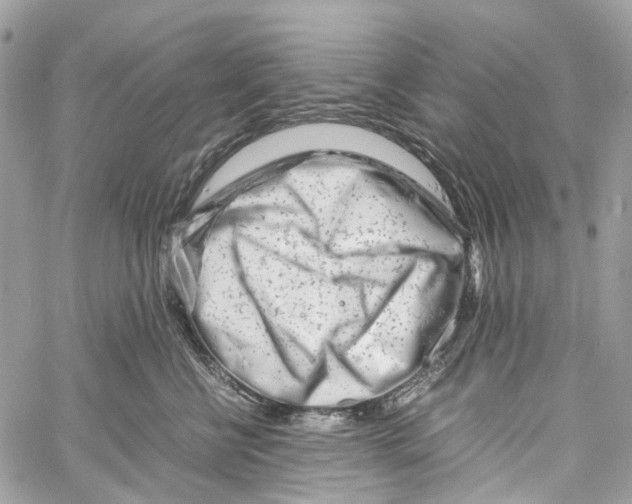 X0000059830570200511181451