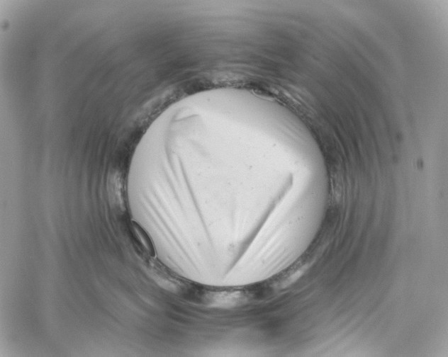 X0000059830575200511181451