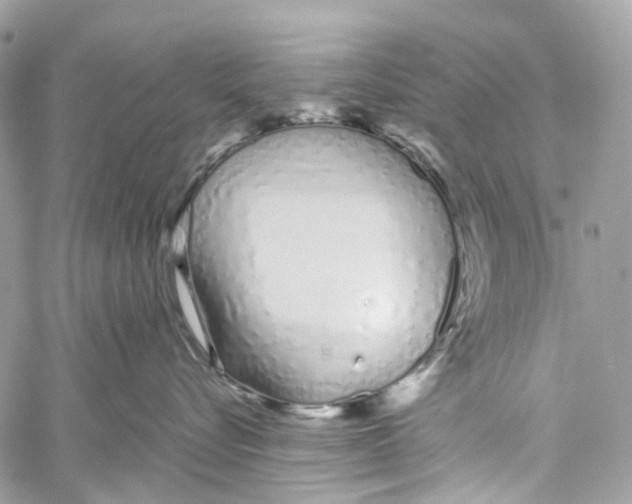 X0000059830576200511181451