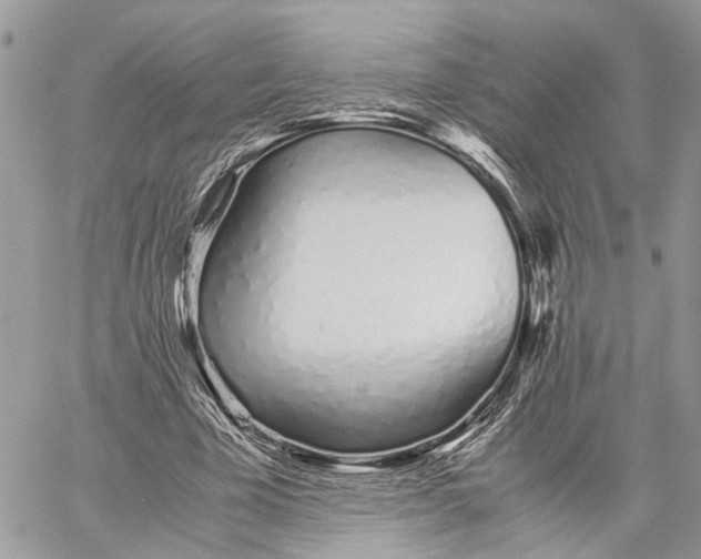 X0000059830585200511181450