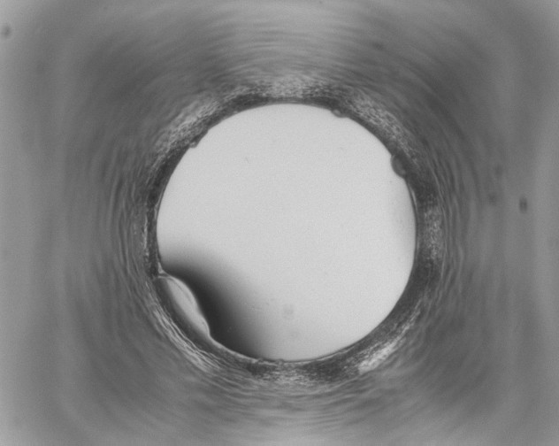 X0000059830589200511181450