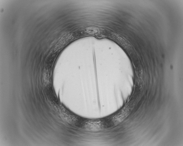 X0000059830606200511181449