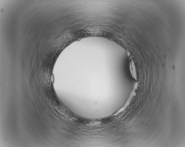 X0000059830609200511181449