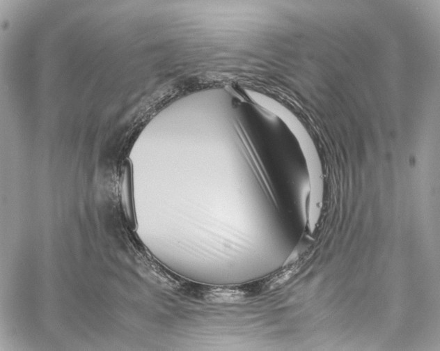 X0000059830617200511181449
