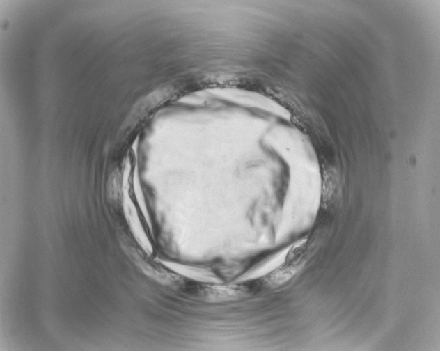 X0000059830623200511181449