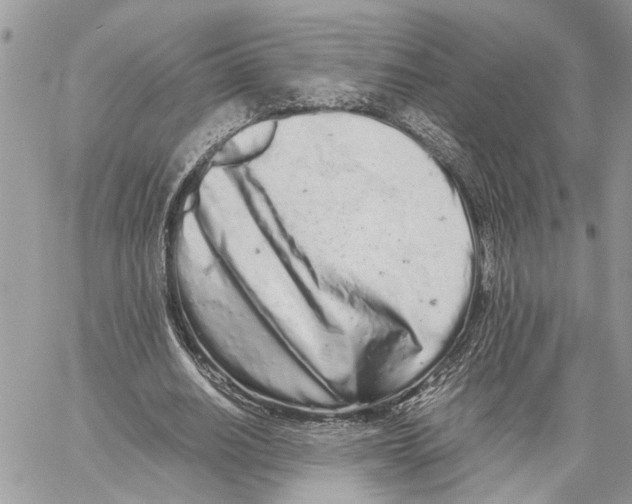 X0000059830630200511181448