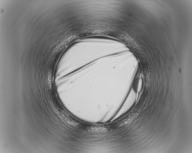 X0000059830644200511181449