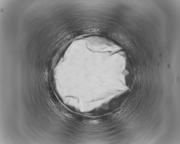 X0000059830647200511181449