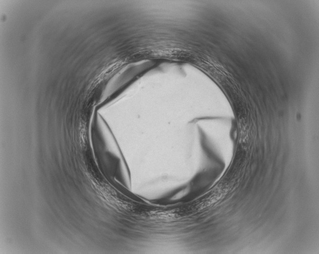 X0000059830648200511181449