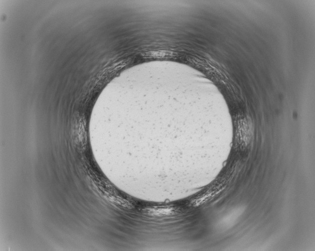 X0000059830651200511181449