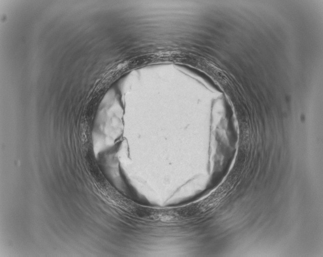 X0000059830654200511181449