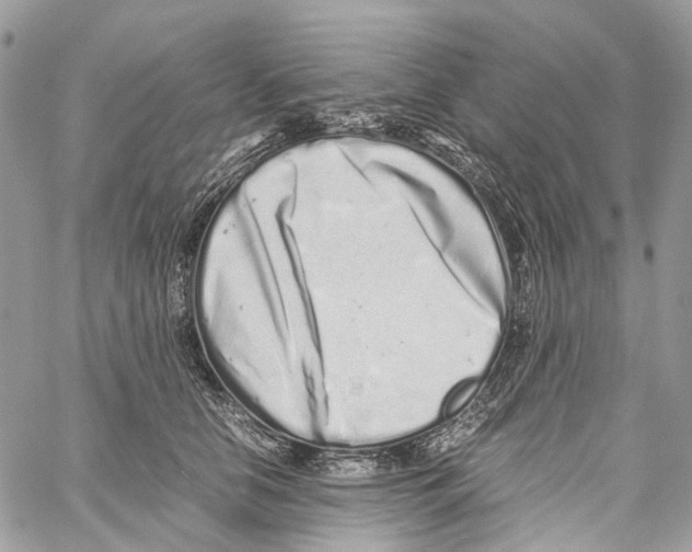 X0000059830658200511181449