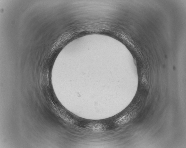 X0000059830685200511181448