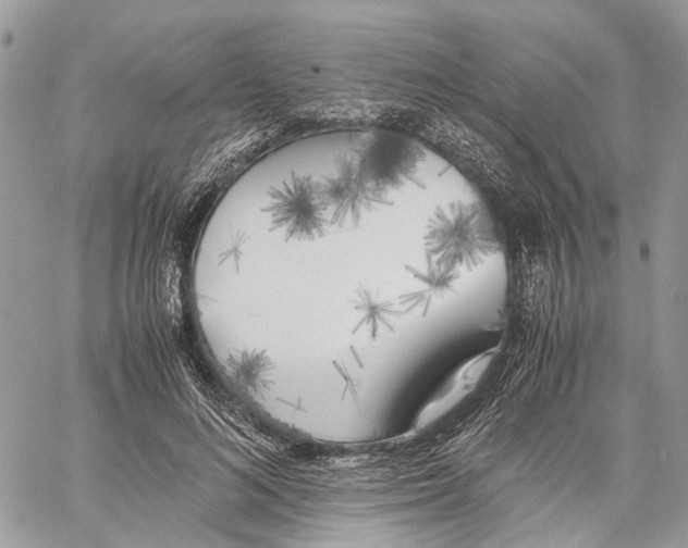 X0000059830692200511181448
