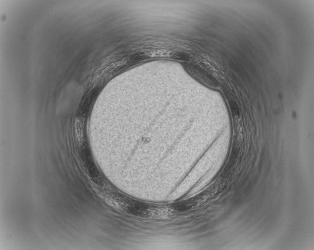 X0000059830695200511181448