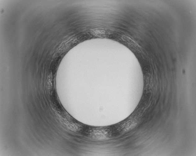 X0000059830702200511181448