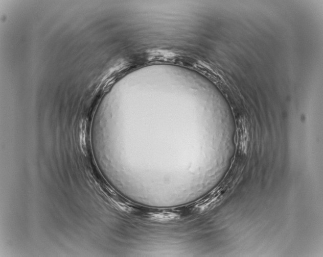 X0000059830708200511181448