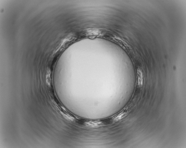 X0000059830712200511181448