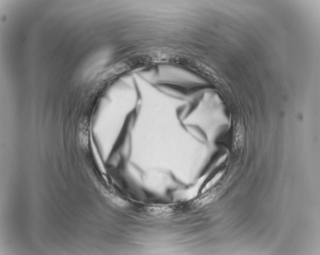 X0000059830719200511181448