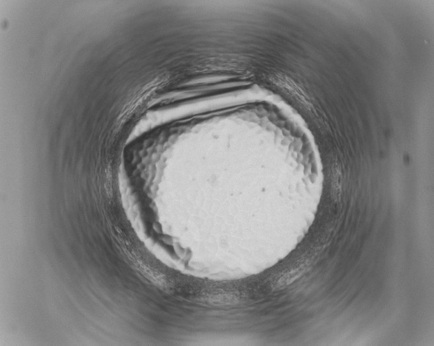 X0000059830729200511181447
