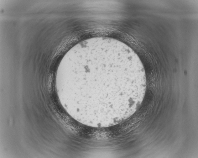 X0000059830742200511181447