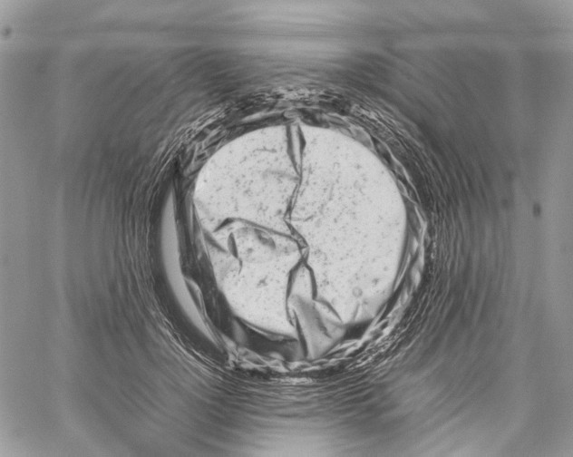 X0000059830748200511181447