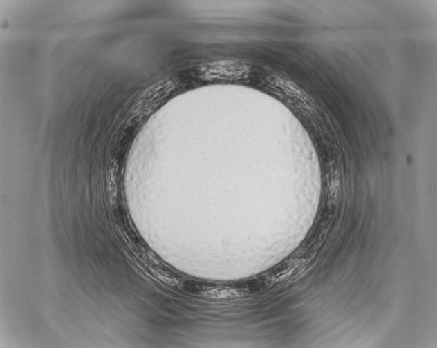 X0000059830749200511181447