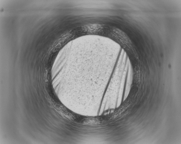 X0000059830750200511181447