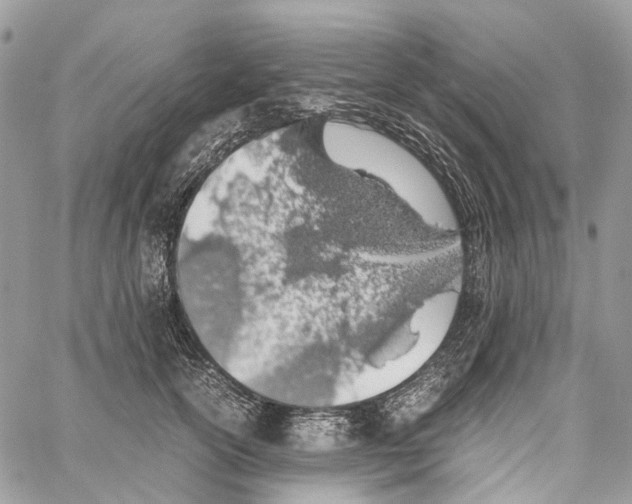 X0000059830754200511181447