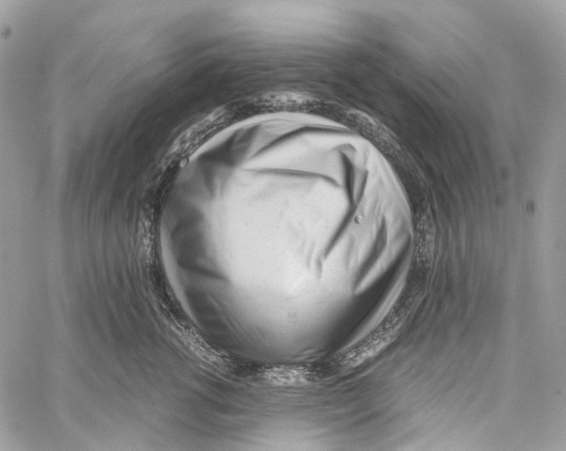 X0000059830762200511181447