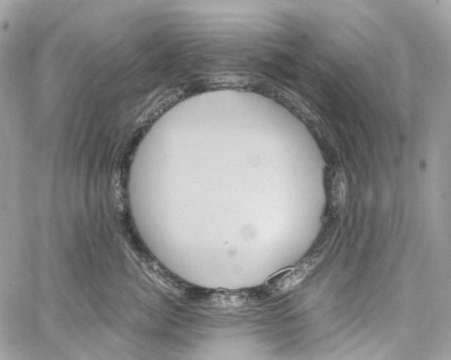 X0000059830764200511181447