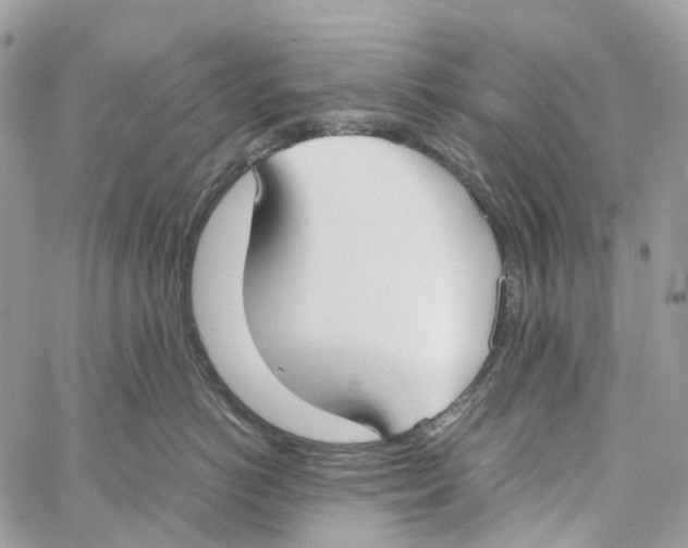 X0000059830766200511181447