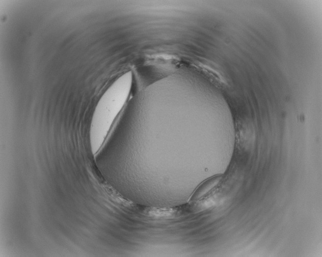 X0000059830767200511181448
