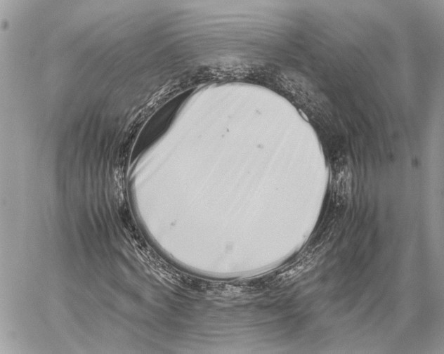 X0000059830772200511181447