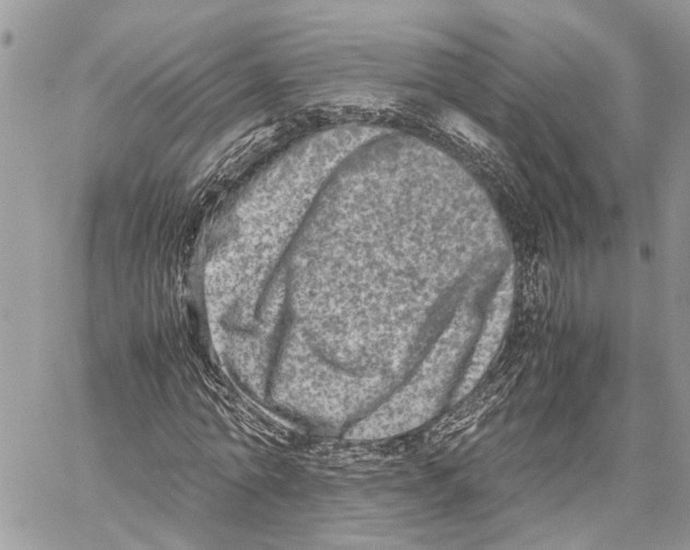 X0000059830774200511181447