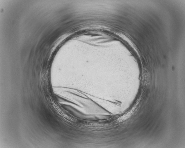 X0000059830783200511181447