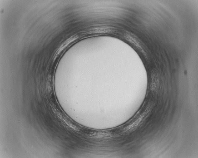 X0000059830786200511181446