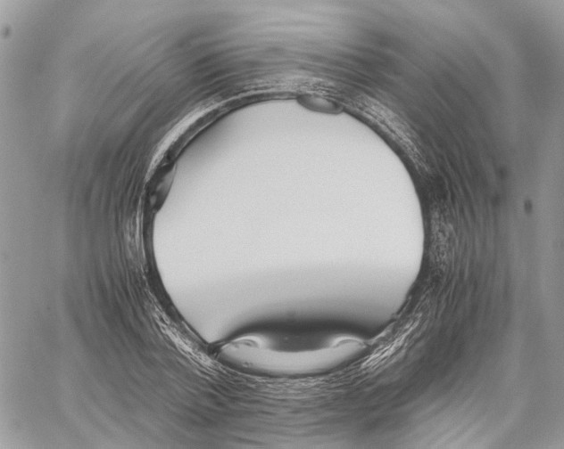 X0000059830788200511181446