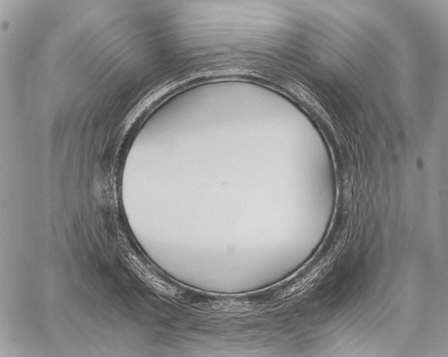 X0000059830789200511181446