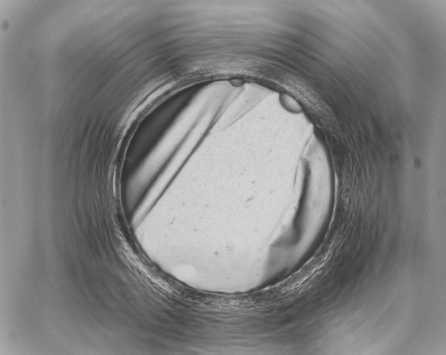 X0000059830790200511181446