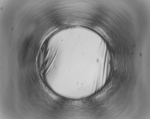 X0000059830798200511181446