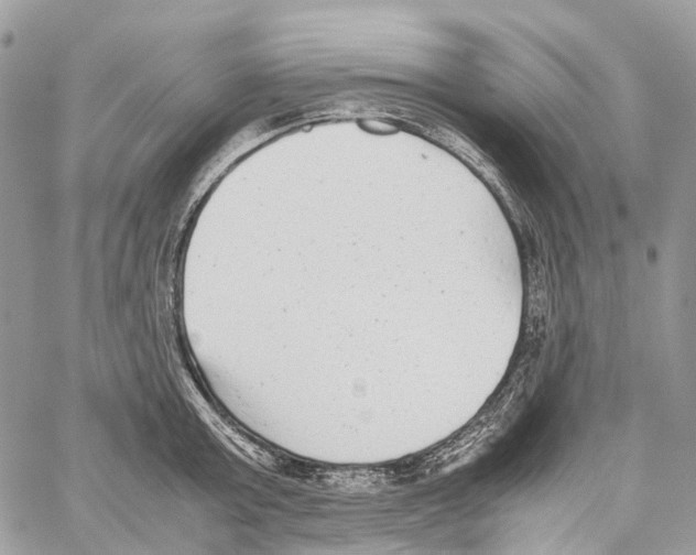 X0000059830803200511181446