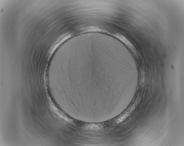 X0000059830806200511181446