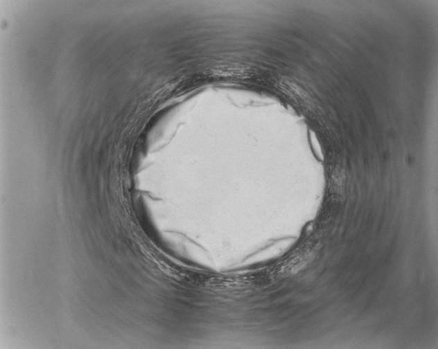 X0000059830817200511181445