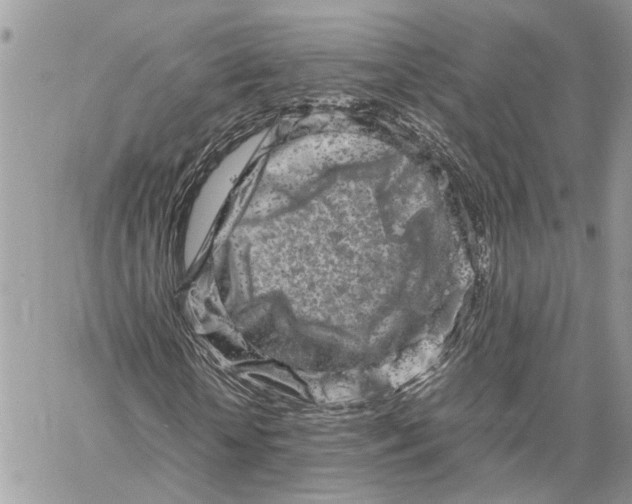 X0000059830818200511181445
