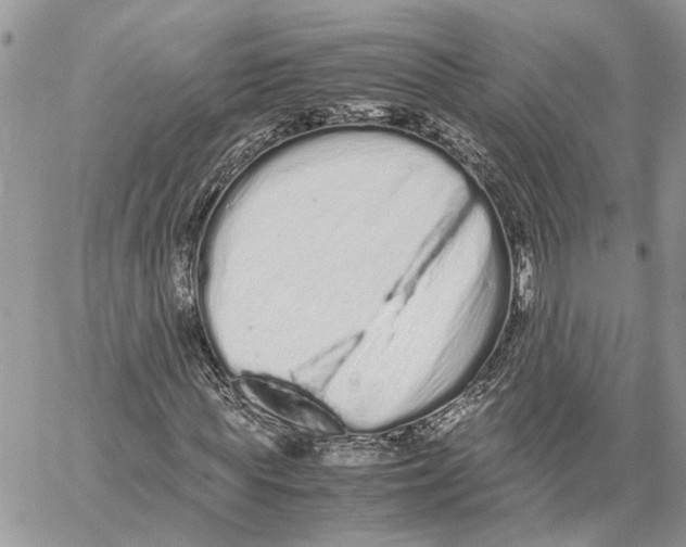 X0000059830819200511181445