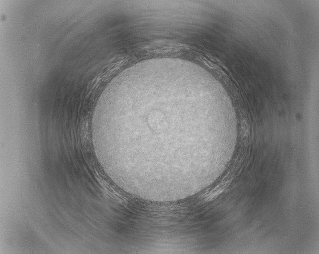 X0000059830820200511181445