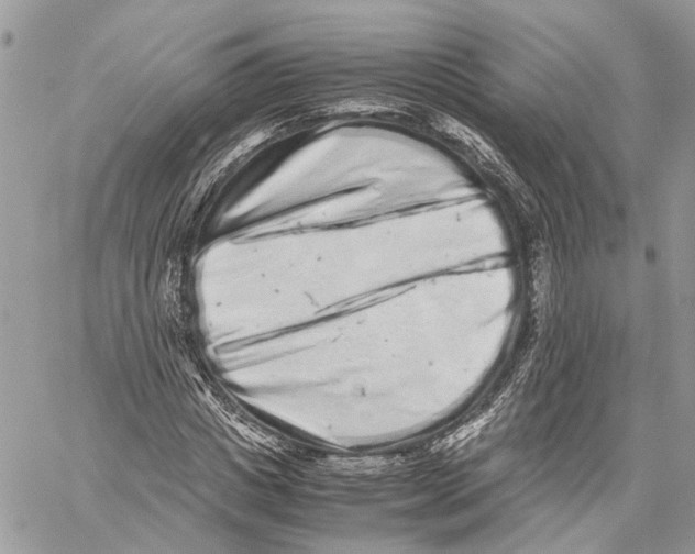 X0000059830825200511181445