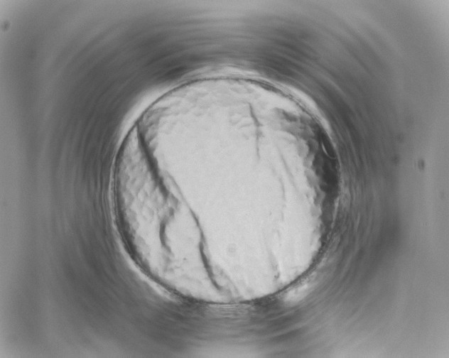X0000059830863200511181446