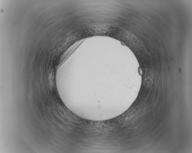 X0000059830866200511181445